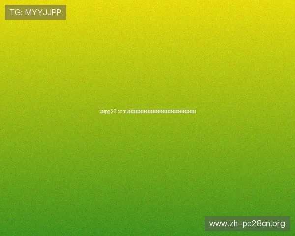 南宫pg28.com专业游戏攻略与技巧分享，助你在复杂副本中轻松取胜快速升级